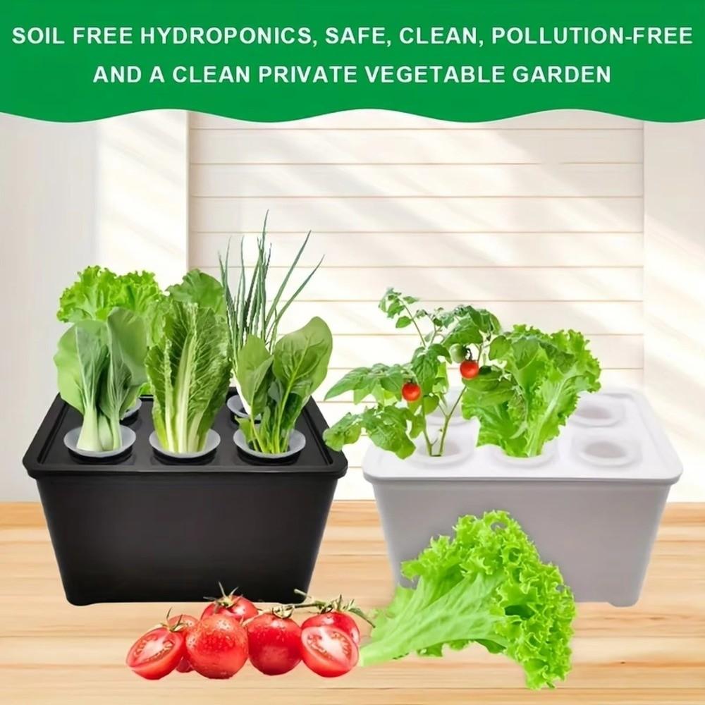 6 Holes Hydroponic Grower Kit Plastic Nursery Pots Soil-Free Planting Box  Balcony Cultivation