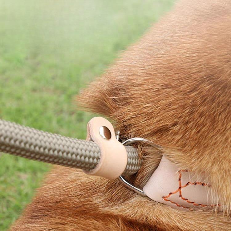 Dog Rope Anti-explosion Rush P Chain Walking Dog Leash Anti-break Free Dog Chain Medium and Large Dog Anti-explosion Rush Leash Dog Rope