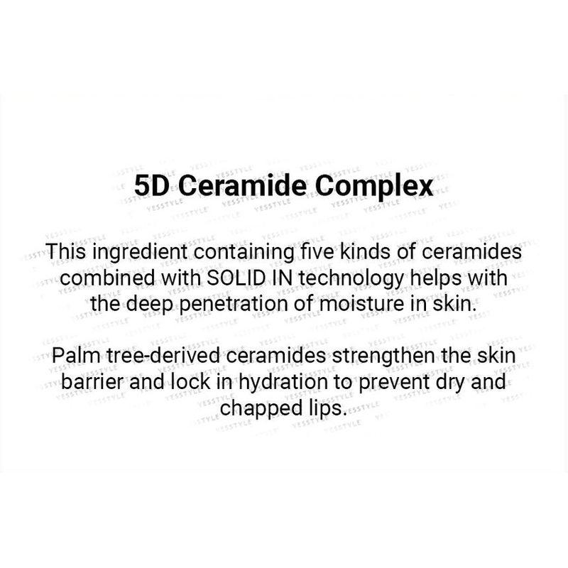 TORRIDEN SOLID IN Ceramide Lip Essence