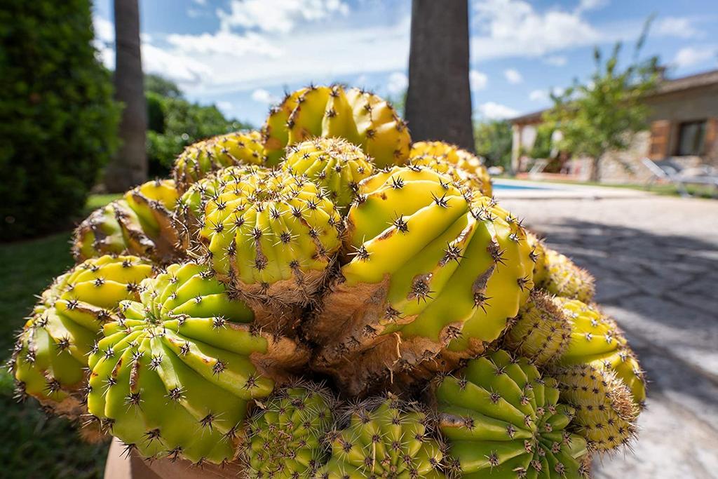 Tamron Mirror Lens Zoom Compatible with Sony E Di III RXD A046 17-28/2.8