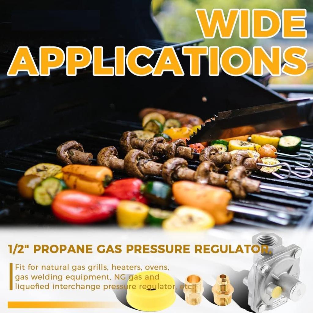 Liquefied Petroleum Gases Control Valves Home Safety Explosions Proof Pressure Regulator Gases Regulator for Kitchen