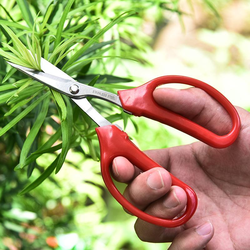 Edelstahl Frucht Traubenschere Clipper Rot PP Komfortgriff Gartenschere Gartenwerkzeuge für Bonsai Blumen