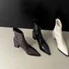 Martin boots short boots pointed black short boots women's spring season explosion high heel thick heel fashion French