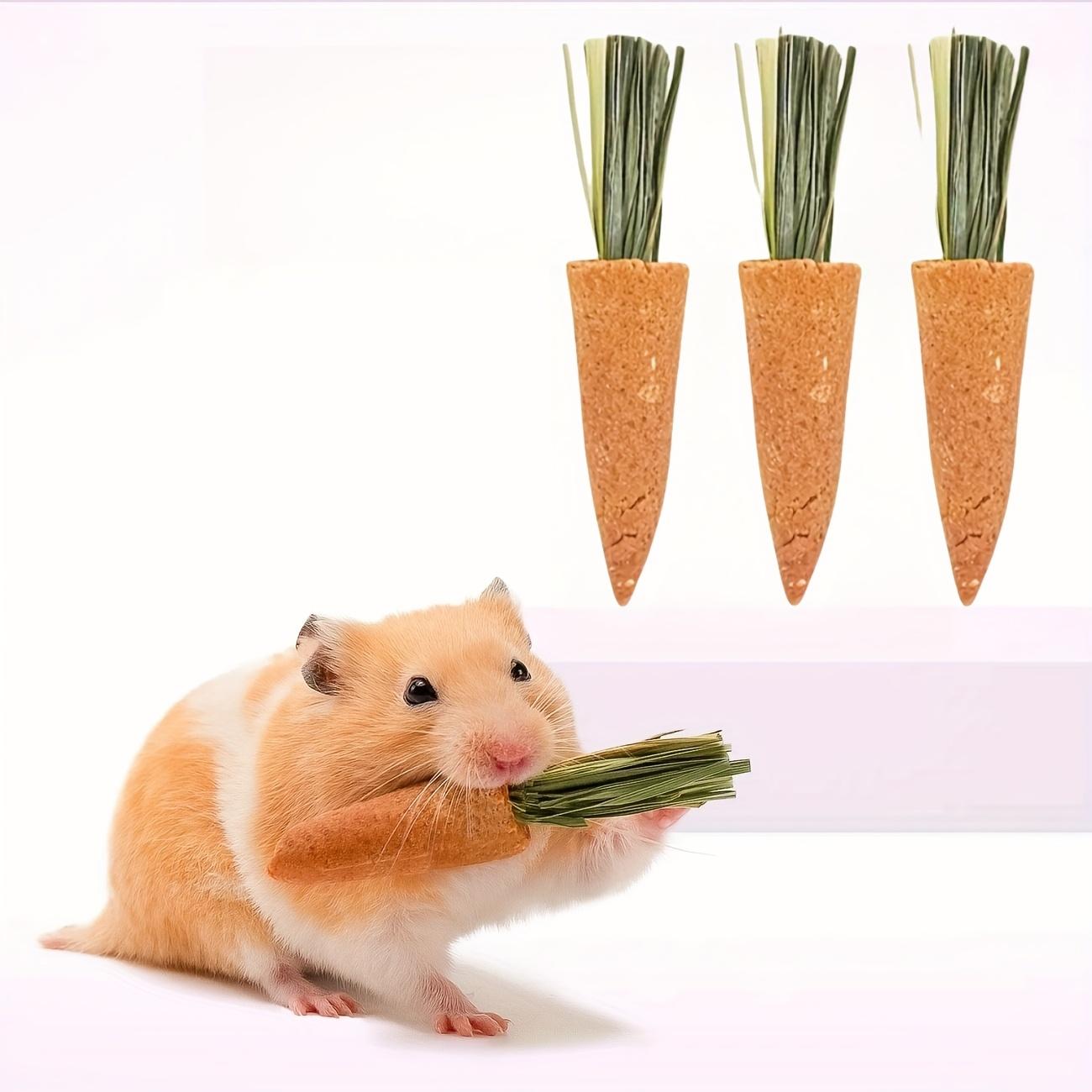 

1PCS 3-pack of Small Pet Chew Toys with Cute Carrot Shape 1PCS оранжевый