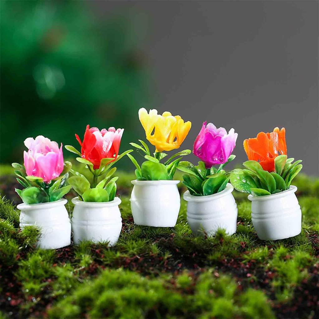 Miniature Bonsai Plant Set for Dollhouse Decor