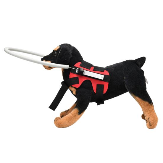 blind dog head protection