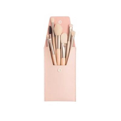 Zznez Mini Makeup Brush Set  Lip, Eye, Blusher & Shading Powder Brushes, Apricot Color 1 Set