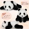 Homehalo Panda Plush Toy Hugging Pillow - Small, Cute, Fluffy, Weighted Beads, Comfortable, Cozy, and Fun Cuddle Pillow - Great for Birthdays, Gifts,