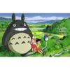 Malen nach Zahlen mit Rahmen Bilder zum Malen - Totoro Ghibli 50x40 cm