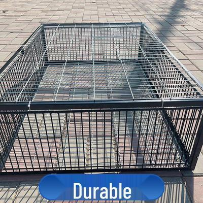 Jaula para Palomas en Azotea con Puerta Automática y Característica de Entrada para Uso Doméstico