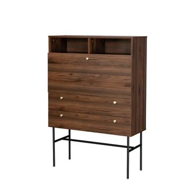 Lodge Secretary 1 Hinged Door 2 Drawers - Wood And Metal Falodgebur1p2t