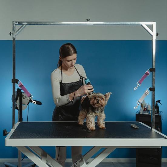 Pet Grooming Arm Extension Strap Adjustable Quick Release Dog Grooming Leash Grooming