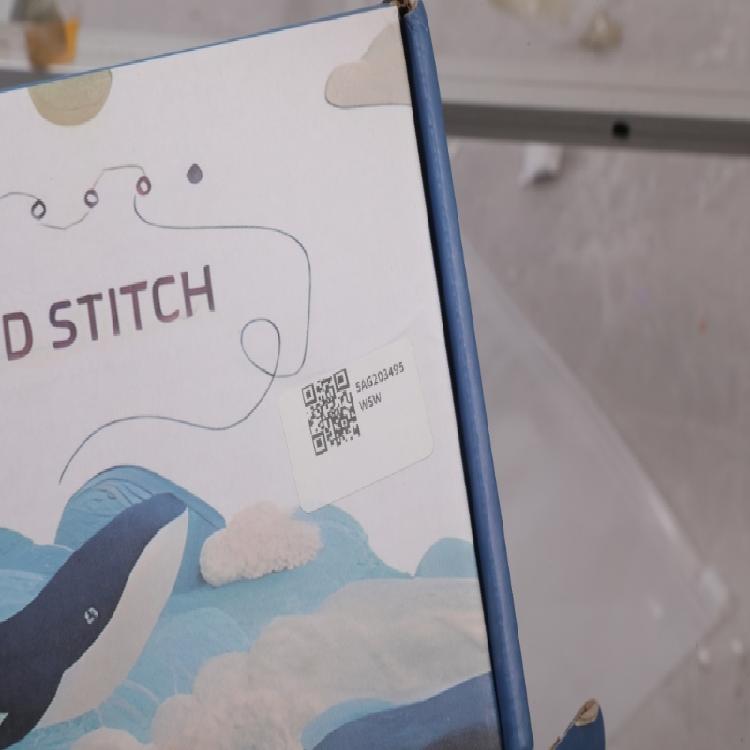 Embroidery Starter Set Including Frame Linen and Thread for Home Projects