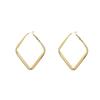 Elegant 2024 Statement Hoop Earrings - Unique European & American Style for Women, Ins Niche Design