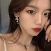 Silver Needle Geometric Pearl Fringed Earrings Earrings Simple Fashion Design Earrings Internet Celebrities Cold Wind Earrings Women