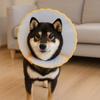Anti-Chew Cat Elizabethan Collar Adjustable Dog Anti-Bite Collar Cat Protective Collar  Pet Care