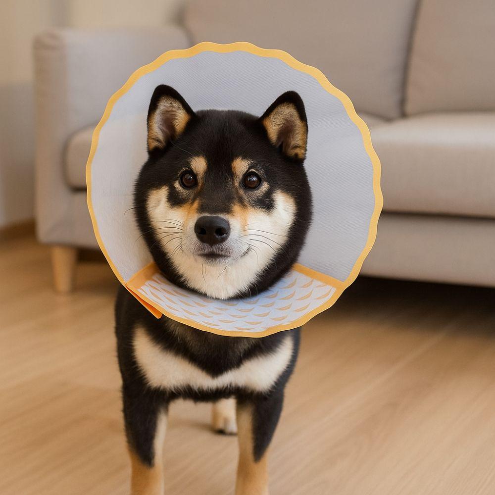 Anti-Chew Cat Elizabethan Collar Adjustable Dog Anti-Bite Collar Cat Protective Collar  Pet Care