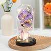 New Qixi Festival Valentine's Day Gift Rose Lantern Glass Cover Immortal Flowers Dried Flowers Bouquet Teachers' Day Carnation Ornament