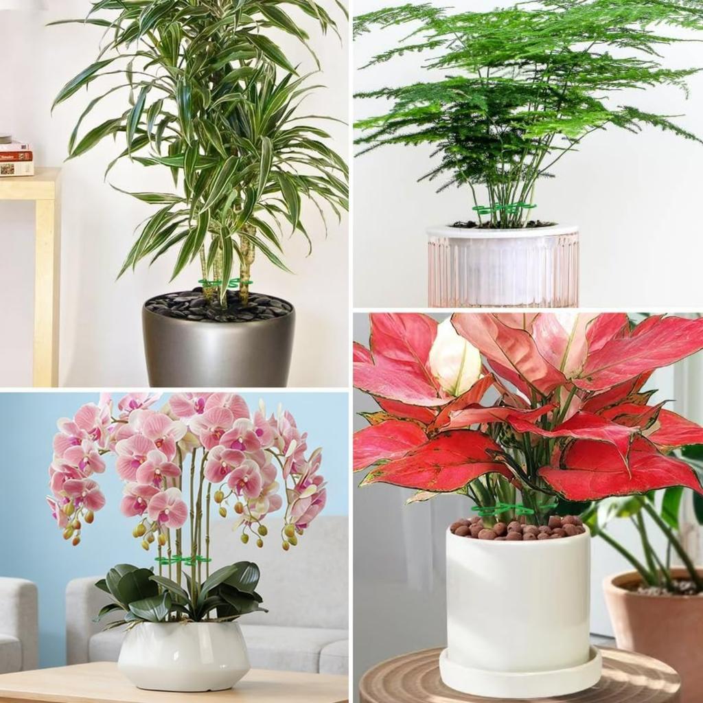 Plant Stem Support for Indoor Outdoor,16pcs Plastic Monstera Plant Support,4 Sizes Reusable Plant Stabilizer for Climbing Plants, Ivy, Roses, Pothos