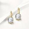 Fashion Crystals Colorful Earrings With Rhodium Color Plated Charm for Women Jewelry Gift XE2189