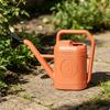 Large Watering Can Easy To Pour Long Spout Comfortable Handle Plant Sprayer for Outdoor