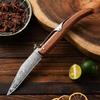 1 buc. Cuțit de dezosat cu lamă ascuțită curbată pentru cutie cadou Bucătărie Duritate mare Forjat Textură Damasc Cuțit ascuțit Cuțit de fructe