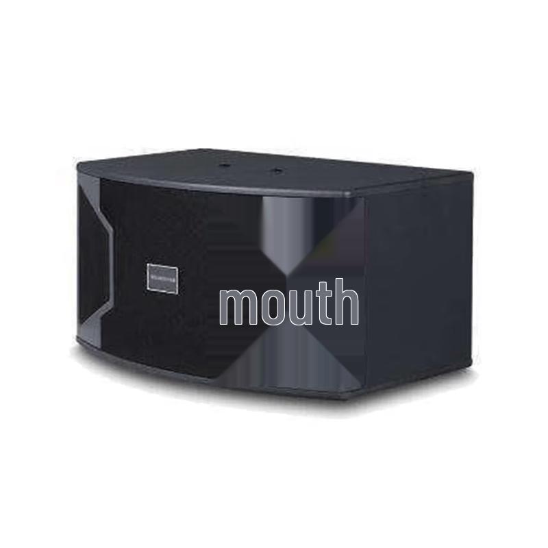 Maruhiro KYX-107 10-inch Commercial KTV Speaker (CN version)