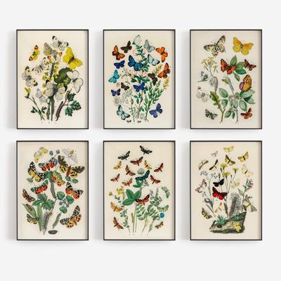Decorațiuni pentru casă – Tablouri și postere