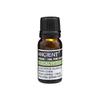Eucalyptus - Essential Oil 10 Ml