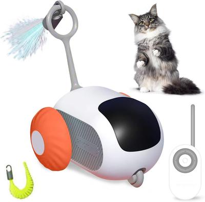 Kedi – Kedi Oyuncakları