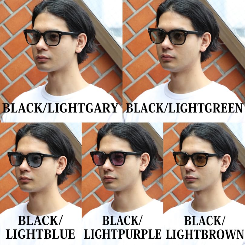 Wellington Sunglasses for Comes with Brown F (EIGHT) Men, Photochromic, Polarized, Case, Black/Light