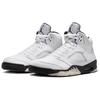 Jordan 5 Retro Reverse Metallic DD0587-110