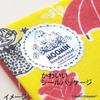 Miyamoto Made in Japan Moomin Handkerchief Towel Gauze Women's Children's Moomin Friends Navy Nordic 25x25cm 06006