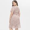 Women's Plus Size Relax Fit Shift Dress Floral Lace Scalloped V Neck Short Sleeve Midi Cocktail Party Wear Daily Work Office Occasion Outfits XL-4XL