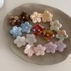 2Pcs Floral Acetic Acid Small Grab Clip Fashion Hairpin Fresh Mini Floral High-end Princess Head Cute Hair Accessory
