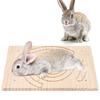 Wooden Claws Scratching Board for Pet Hedgehog Squirrel Rabbit Play Toy Cage Accessory