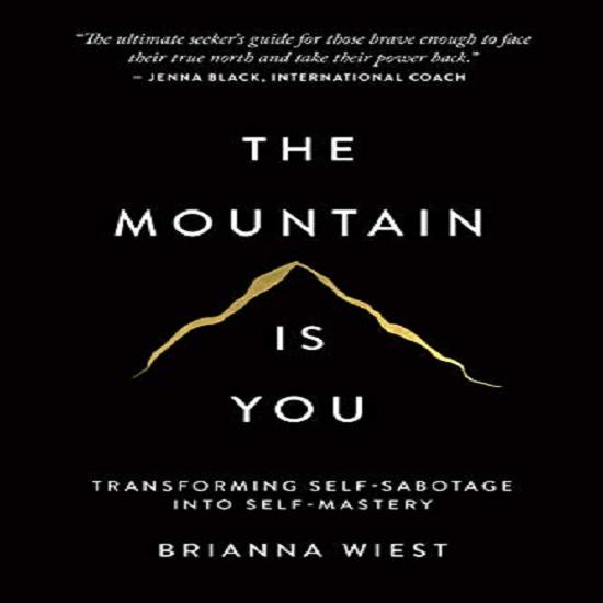 The Mountain Is You: Transforming Self-Sabotage Into Self-Mastery - Image 5