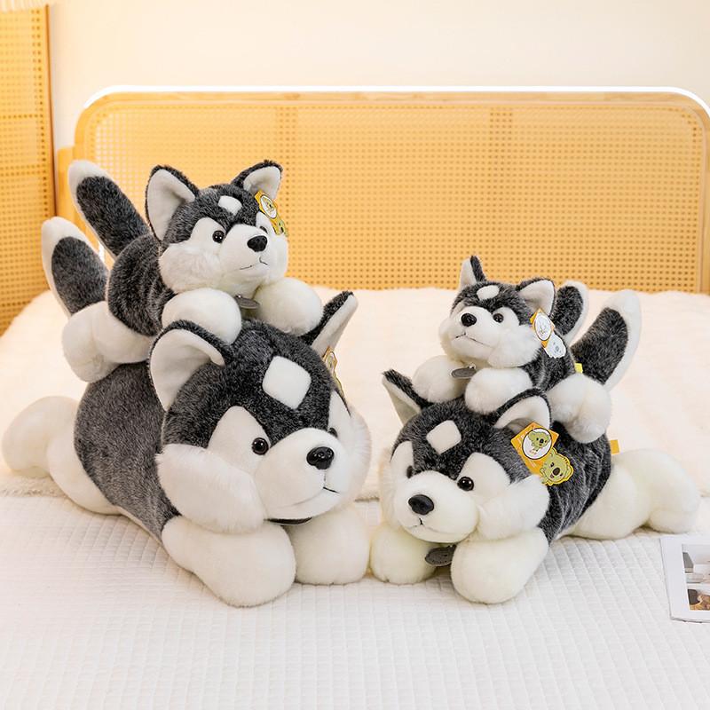 Plush Husky Toy Cute Cartoon Girl Child Bedroom Decoration Scene Simulation Doll
