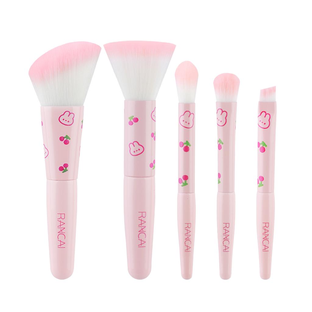 5Pcs Cute Compact Makeup Brush Set With Case Premium Brush for Flawless Foundation, Blush, Eyeshadow Application Beauty Tools