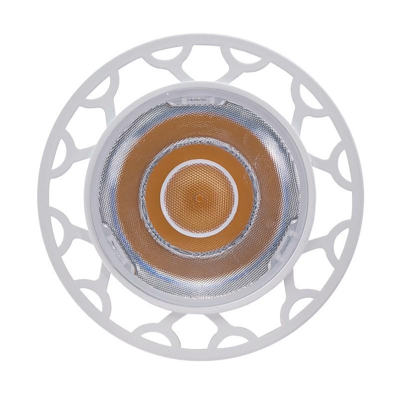 Pełnospektralna lampa do uprawy PAR38 - 30W/35W dla sukulentów, kwiatów, warzyw i roślin zielonych, 98 CRI.