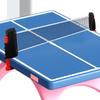 Portable Retractable Table Tennis Net and Stand for Rackets and Tables