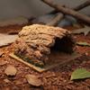 Basking Cave Platform Easy to Clean Pet Hide Cave Resin Pet Hideout Safe Polished Edges Rock Basking Hideout for Terrarium