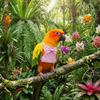 Adjustable Parrot Flying Harness Breathable Parrot Vest Practical Bird Training Rope  Budgie