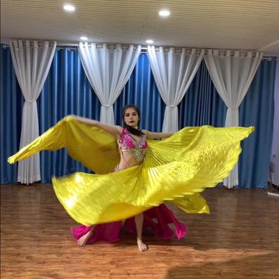 1 Set Performance Telescopic Rod 360 Wings Egyptian Degree Belly Dance Cape with Costume Pleated Bright