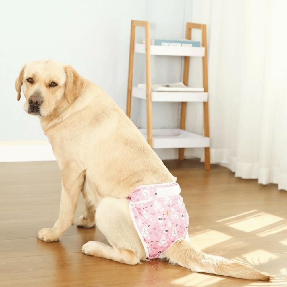 Elastic Waist Dog Physiological Pants Leak-Proof Dog Sanitary Panties Physiological Safety