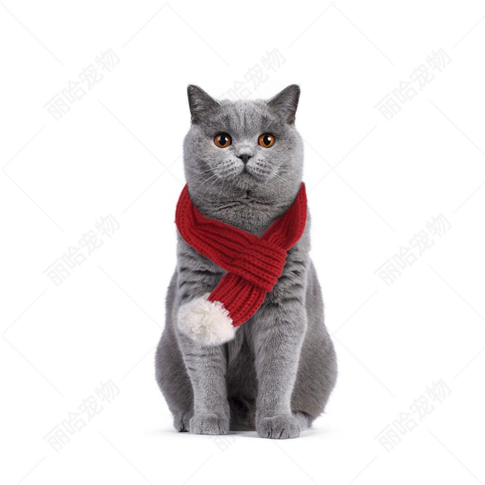 Sciarpa Natalizia Creativa Lavorata a Maglia per Gatti e Cani - Accessori Festivi per Animali Domestici per il Nuovo Anno