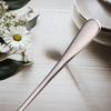 Elegant Stainless Steel Spoon with Long Handle; Coffee Mixing, Ice Cream, Dinner Table Spoon & Fruit Fork