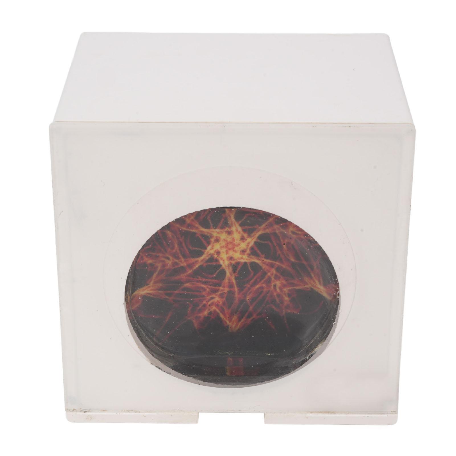 

Ферромагнитная жидкость Визуализатор музыки Танцующая ферромагнитная жидкость Ритм Музыкальный компаньон Дисплейная лампа Настольный декор с пультом дистанционного управления для спальни офиса