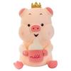 New Bottle Pig Rag Doll Plush Toy Creative Cartoon Pig Doll Large Size Sleeping Pillow