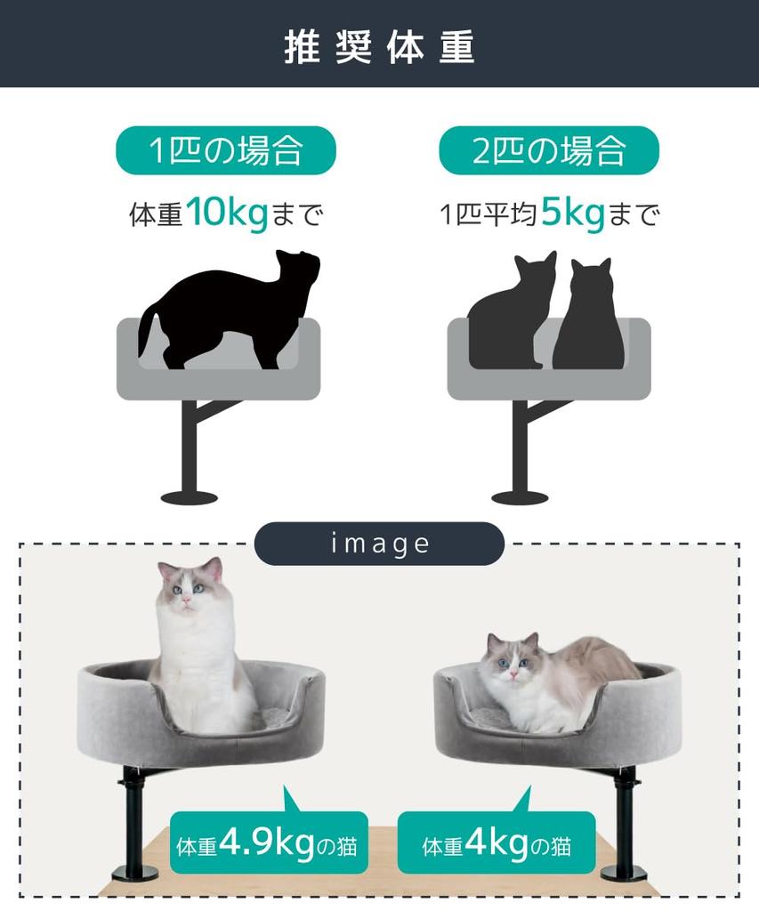 LOE New Idea Cat Arm Cat Bed | Space-Saving, Multi-Cat Friendly, Desk-Mounted Stand